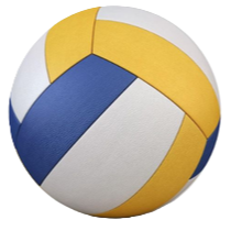 Volley Ball