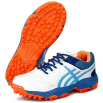 Cricket Shoes